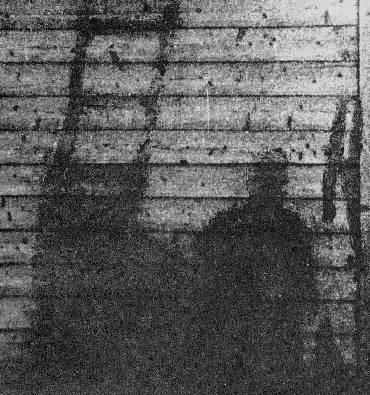 Hiroshima Human Shadow