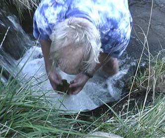 Norm takes a sample of moss