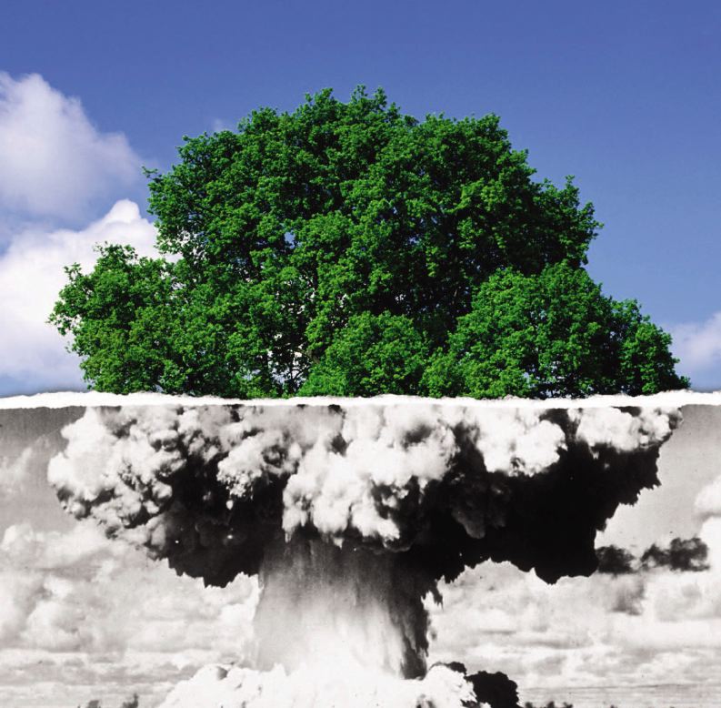 Nuclear Transformation