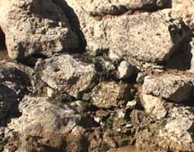 Porous basalt