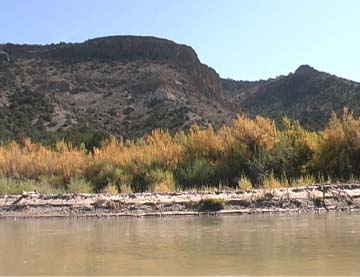 The Rio Grande, Northern New Mexico