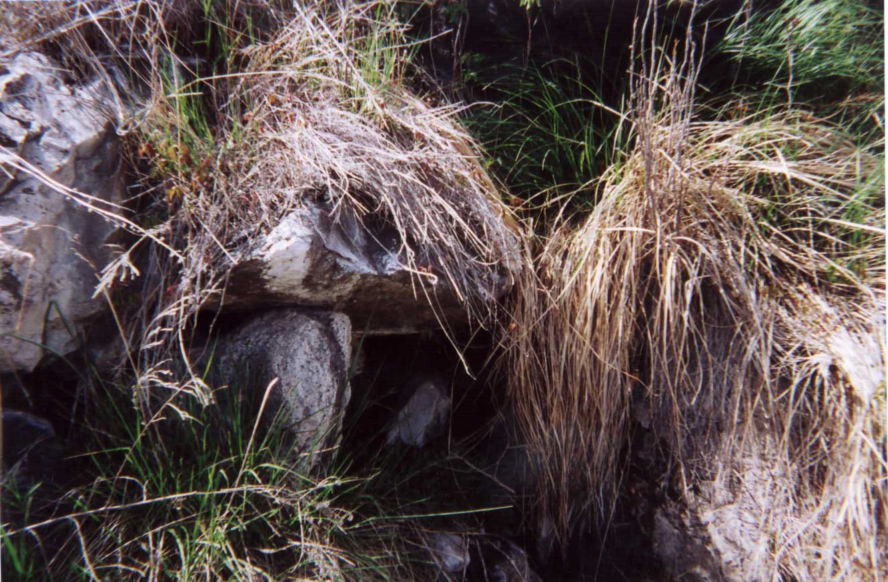Spring 3